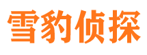 龙马潭寻人公司